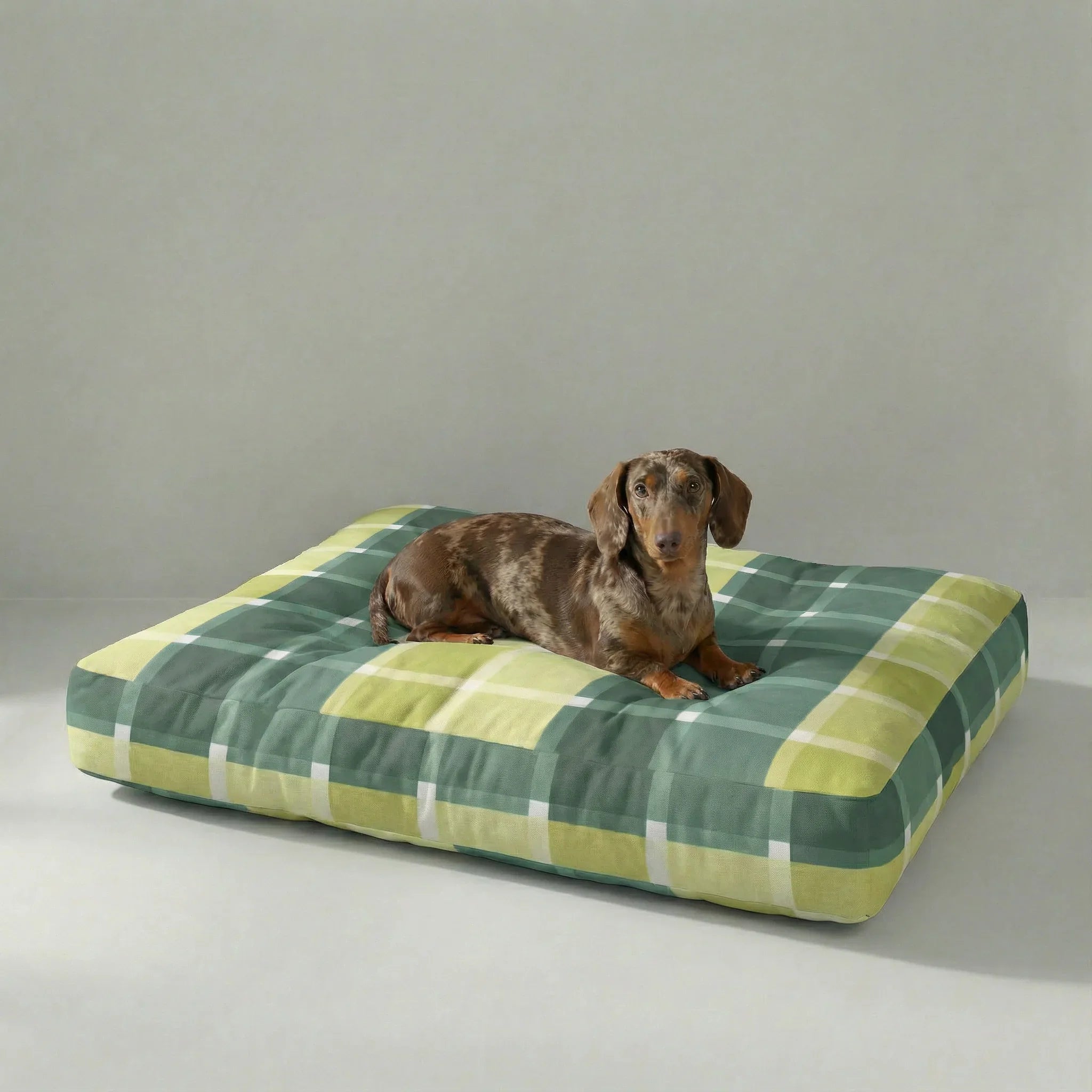 Cama para mascota gruesa y acolchada con acabado antimanchas Sutton Esmeralda