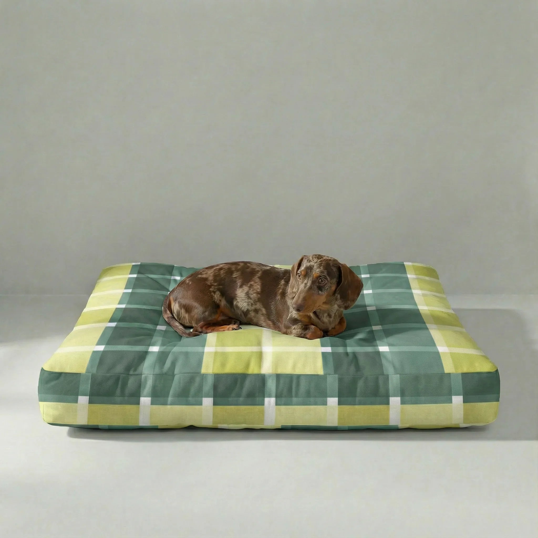 Cama para mascota gruesa y acolchada con acabado antimanchas Sutton Esmeralda