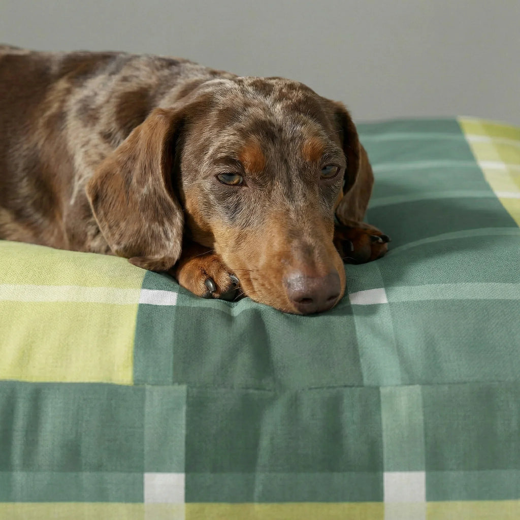 Cama para mascota gruesa y acolchada con acabado antimanchas Sutton Esmeralda