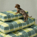 Cama para mascota gruesa y acolchada con acabado antimanchas Sutton Esmeralda