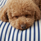 Cama para mascotas desenfundable antimanchas Tavernes