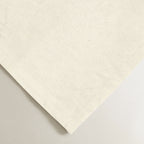 Pack 2 unidades servilletas Natural