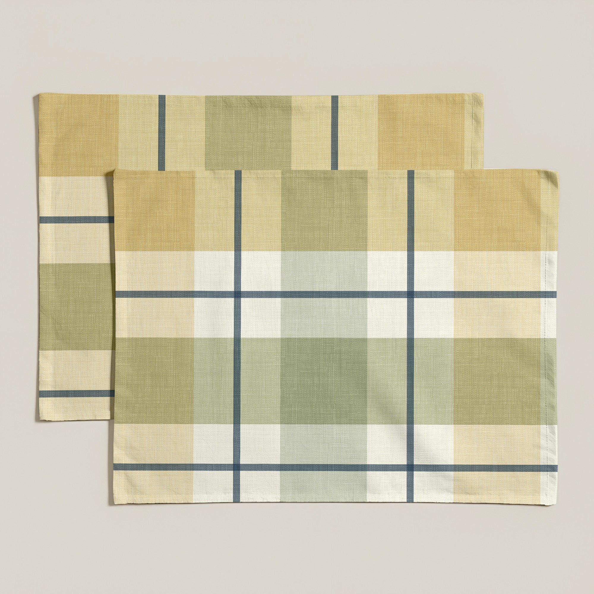 Mantel individual antimanchas pack 2 unidades Teli