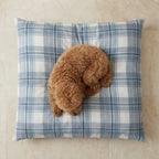 Cama para mascotas desenfundable antimanchas Valdo Azul