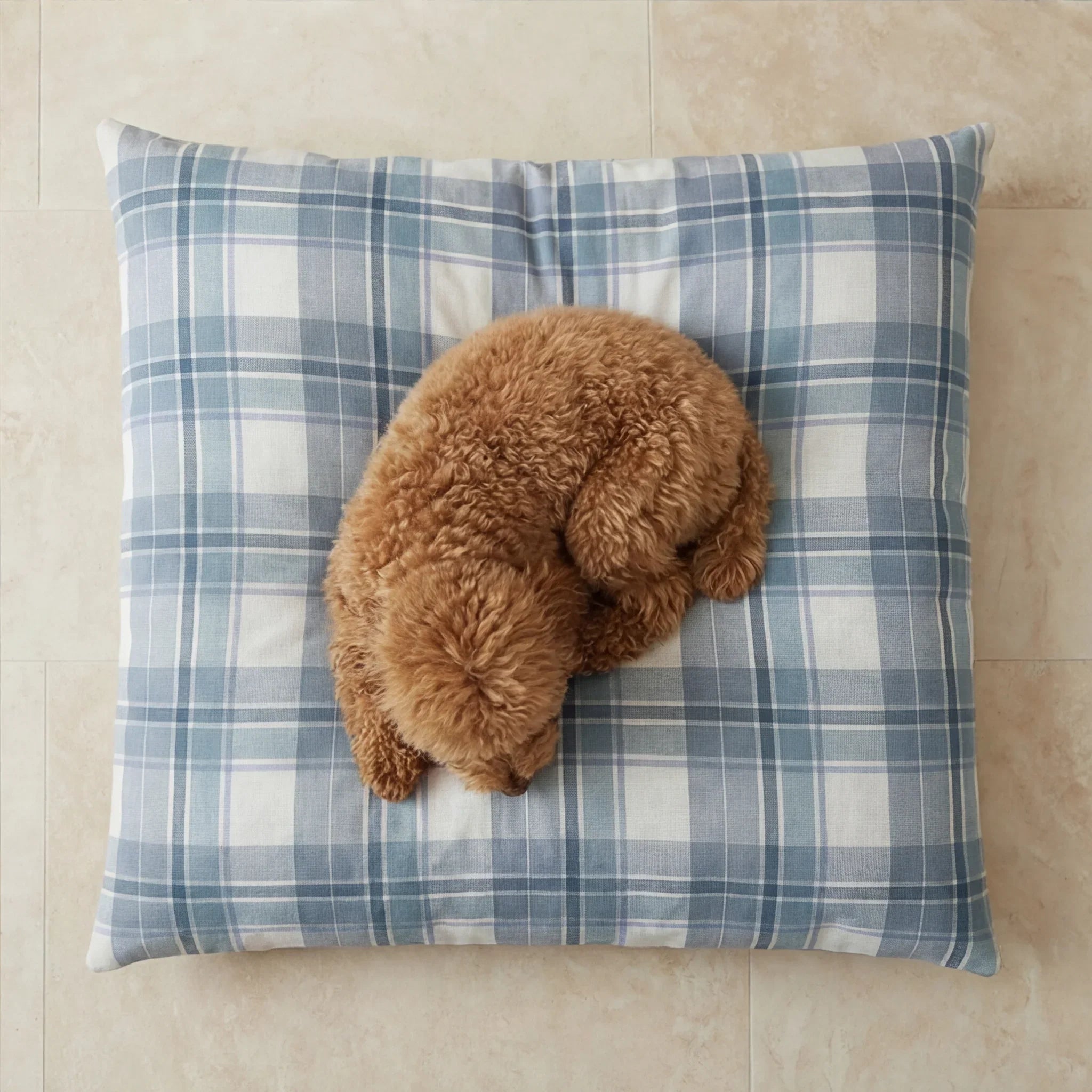 Cama para mascotas desenfundable antimanchas Valdo Azul