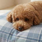 Funda para cama de mascota antimanchas Valdo Azul