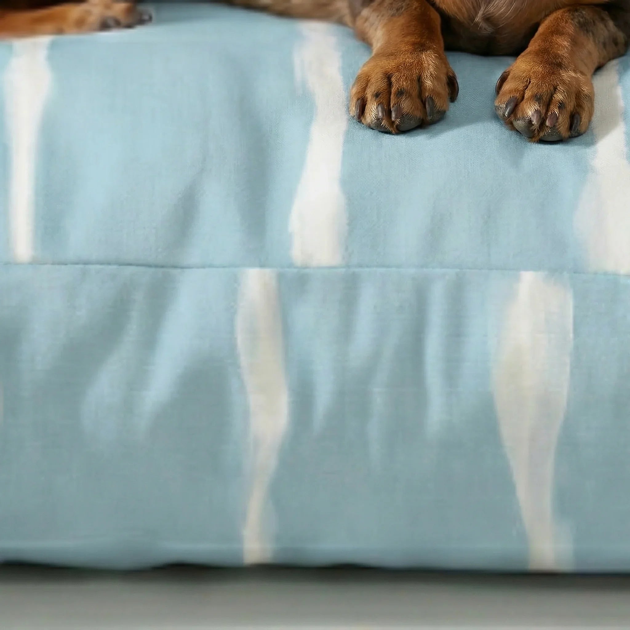 Cama para mascota gruesa y acolchada con acabado antimanchas Vera