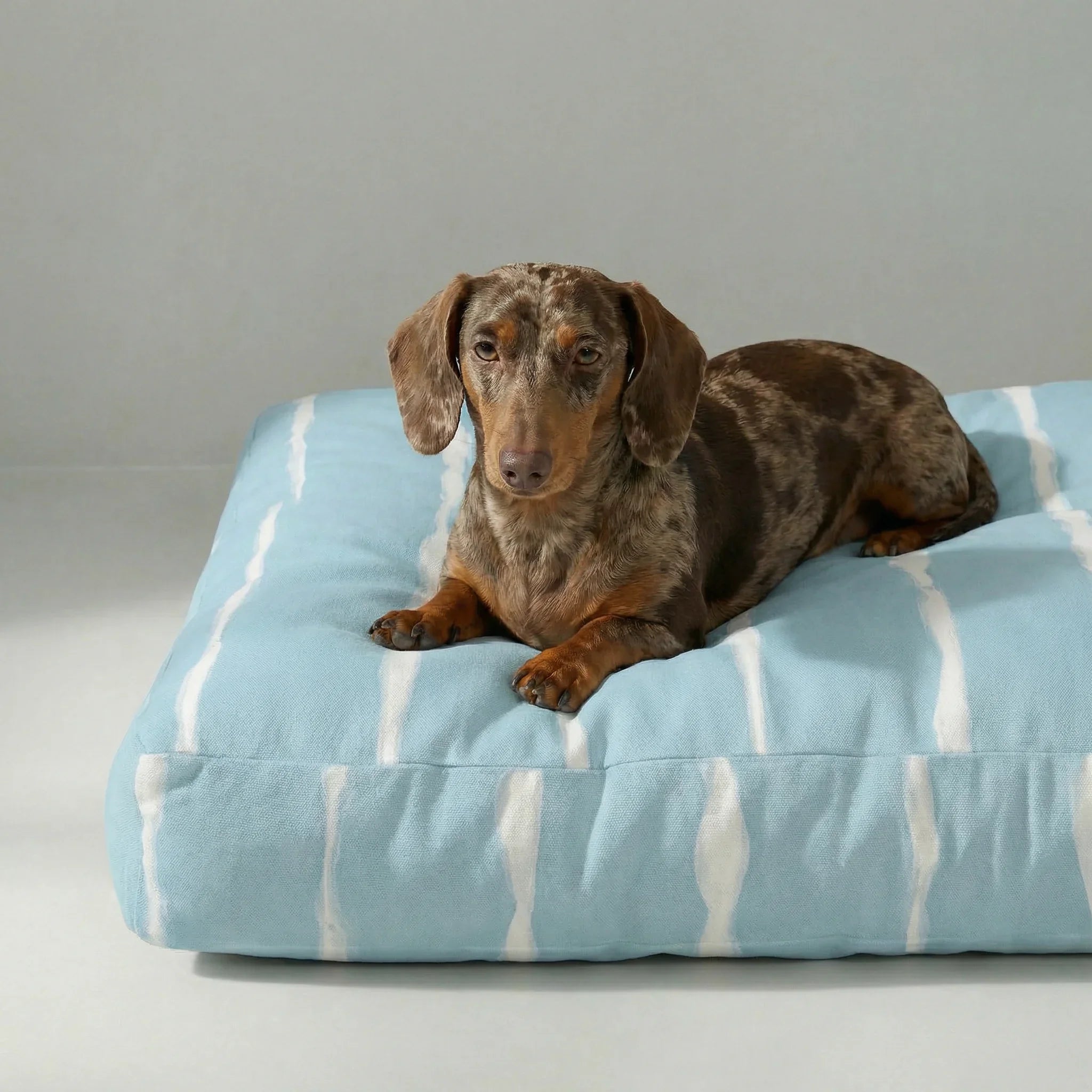 Cama para mascota gruesa y acolchada con acabado antimanchas Vera