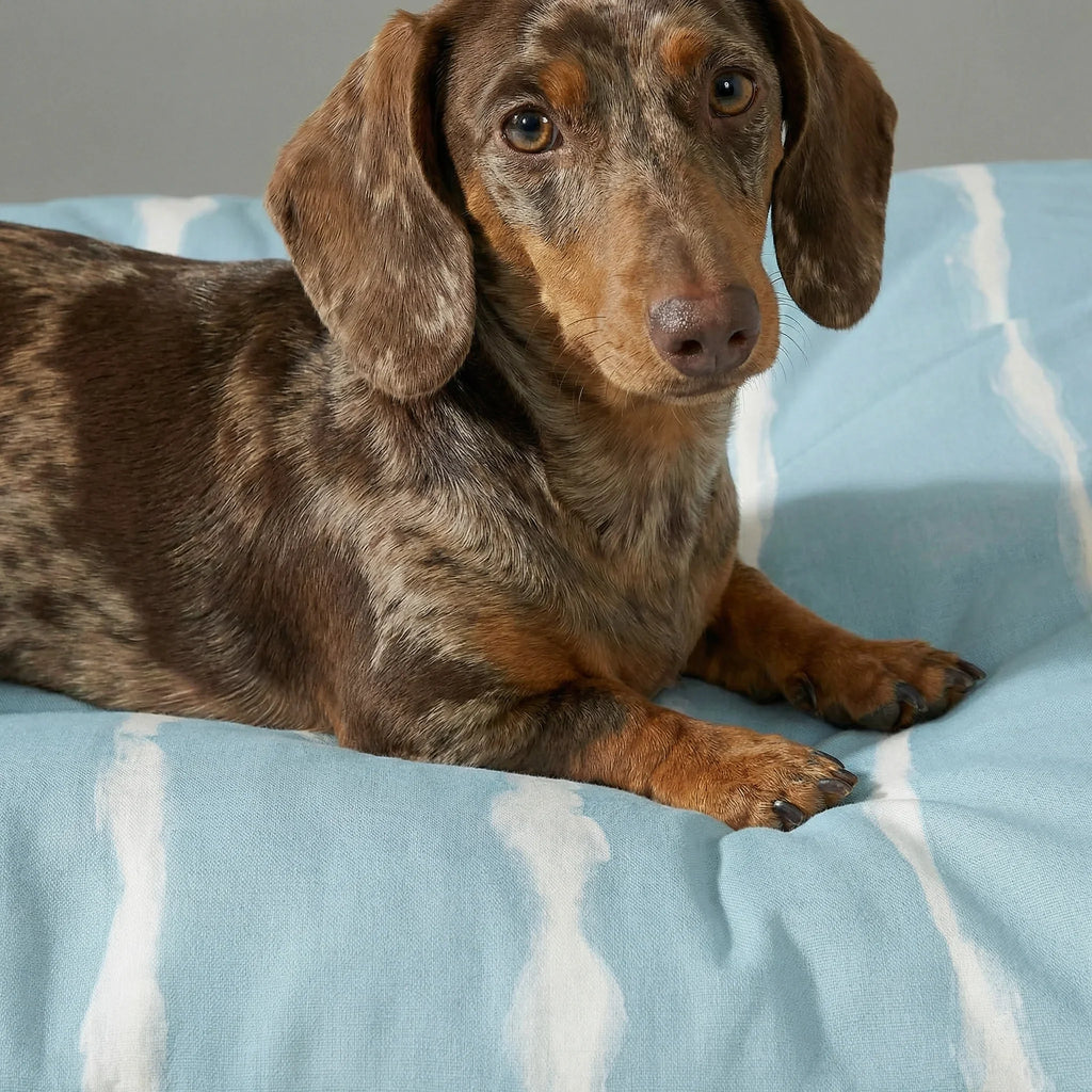 Cama para mascota gruesa y acolchada con acabado antimanchas Vera