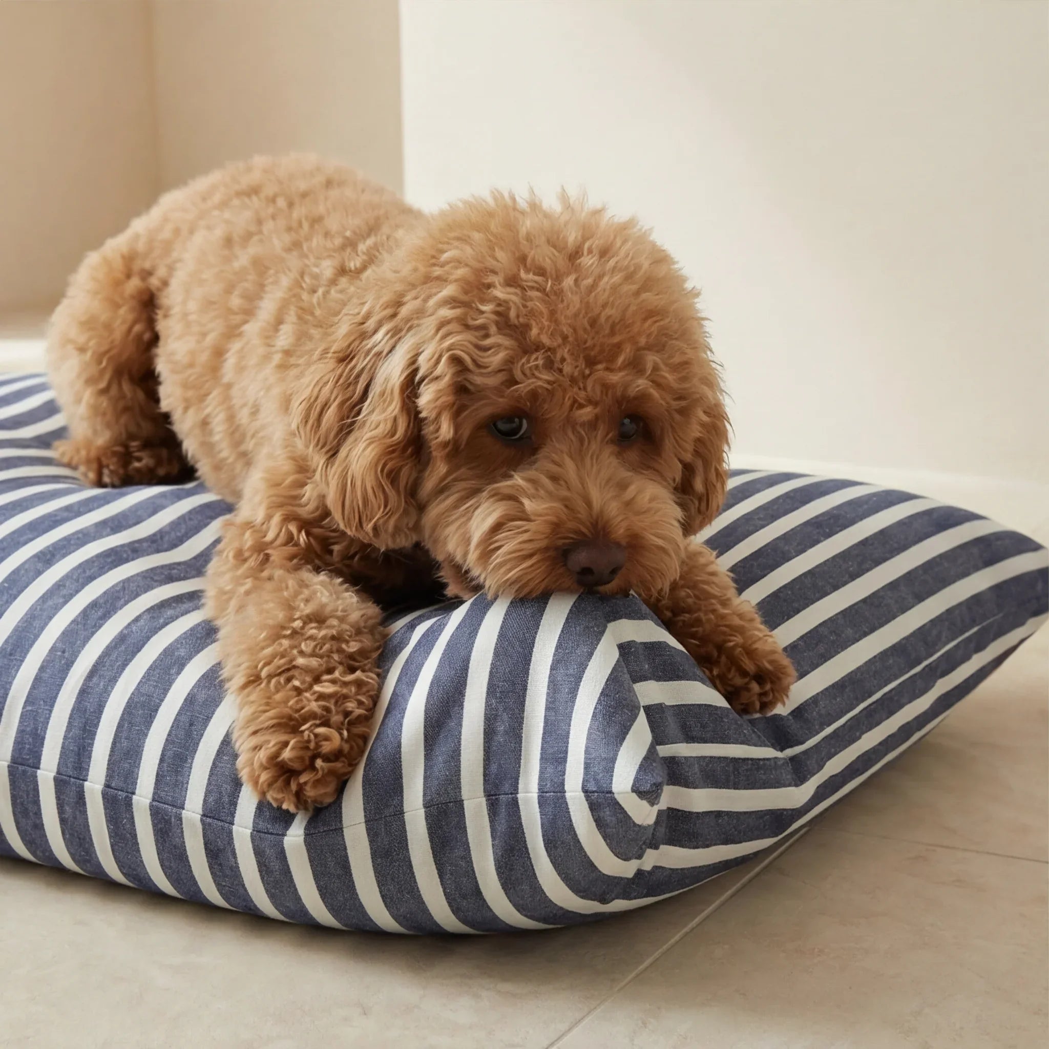Cama para mascotas desenfundable antimanchas Vinaros Pequeña