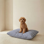 Cama para mascotas desenfundable antimanchas Vinaros Pequeña