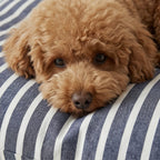 Cama para mascotas desenfundable antimanchas Vinaros Pequeña