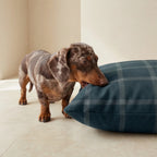 Cama para mascotas desenfundable antimanchas Willy Marino