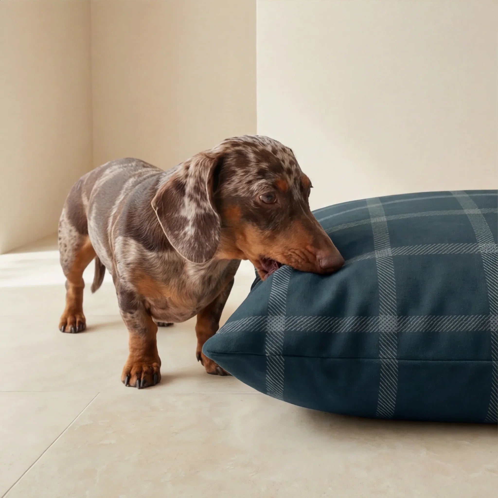 Funda para cama de mascota antimanchas Willy Marino