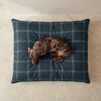 Cama para mascotas desenfundable antimanchas Willy Marino