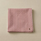 Pack de 4 unidades servilletas Winter Wishes 3