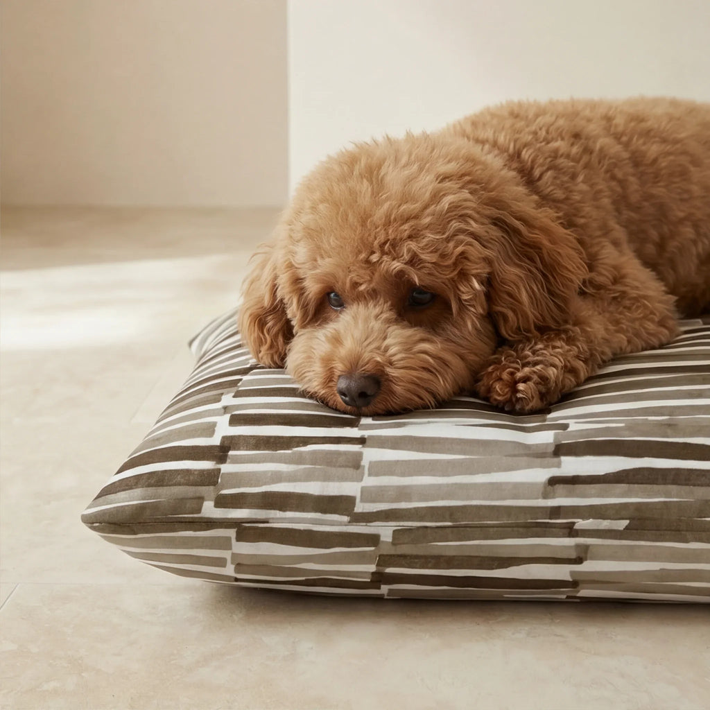 Cama para mascotas desenfundable antimanchas Xaló C