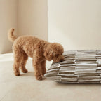 Cama para mascotas desenfundable antimanchas Xaló C