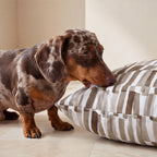 Funda para cama de mascota antimanchas Xaló C