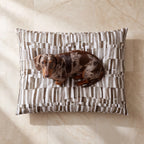Cama para mascotas desenfundable antimanchas Xaló C