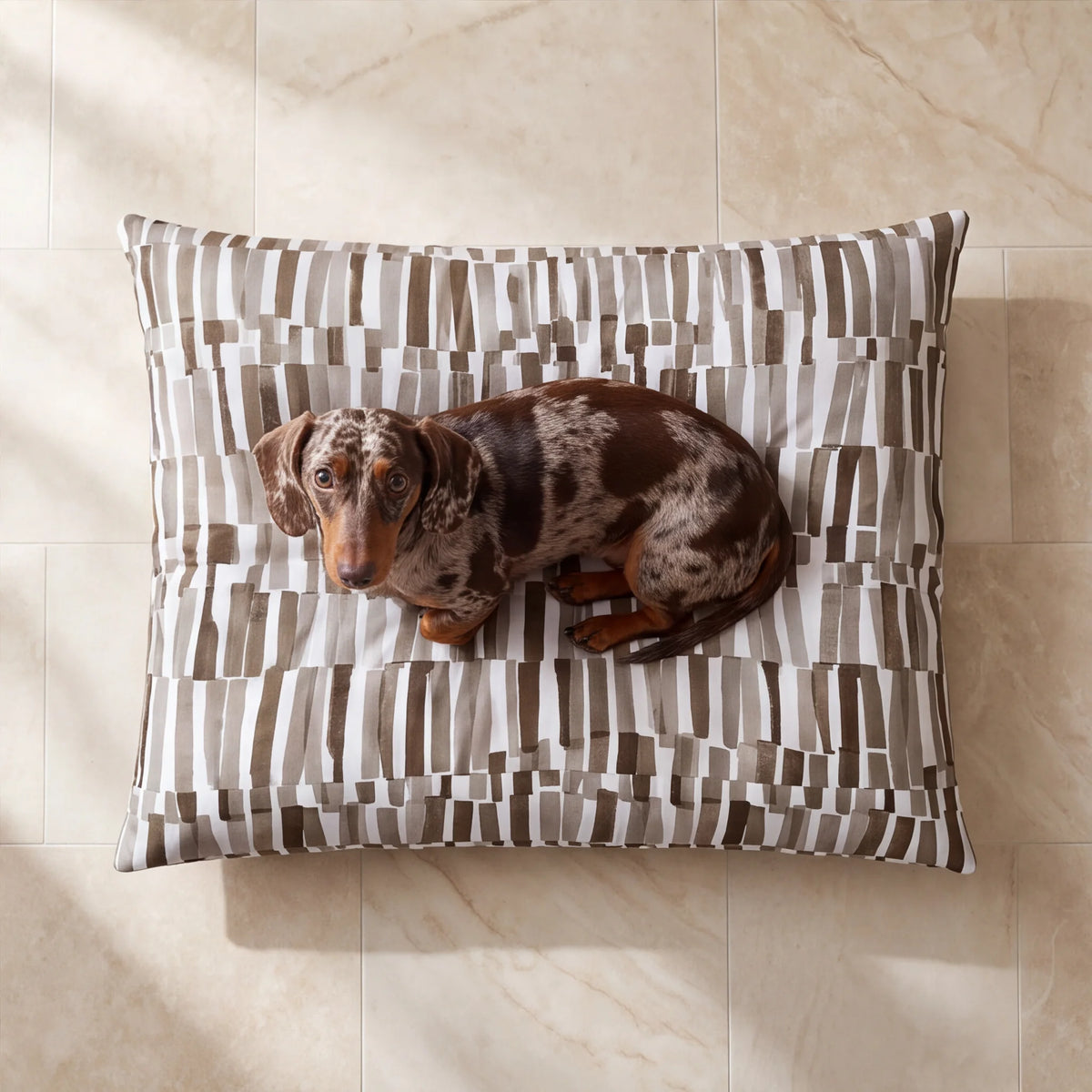 Cama para mascotas desenfundable antimanchas Xaló C