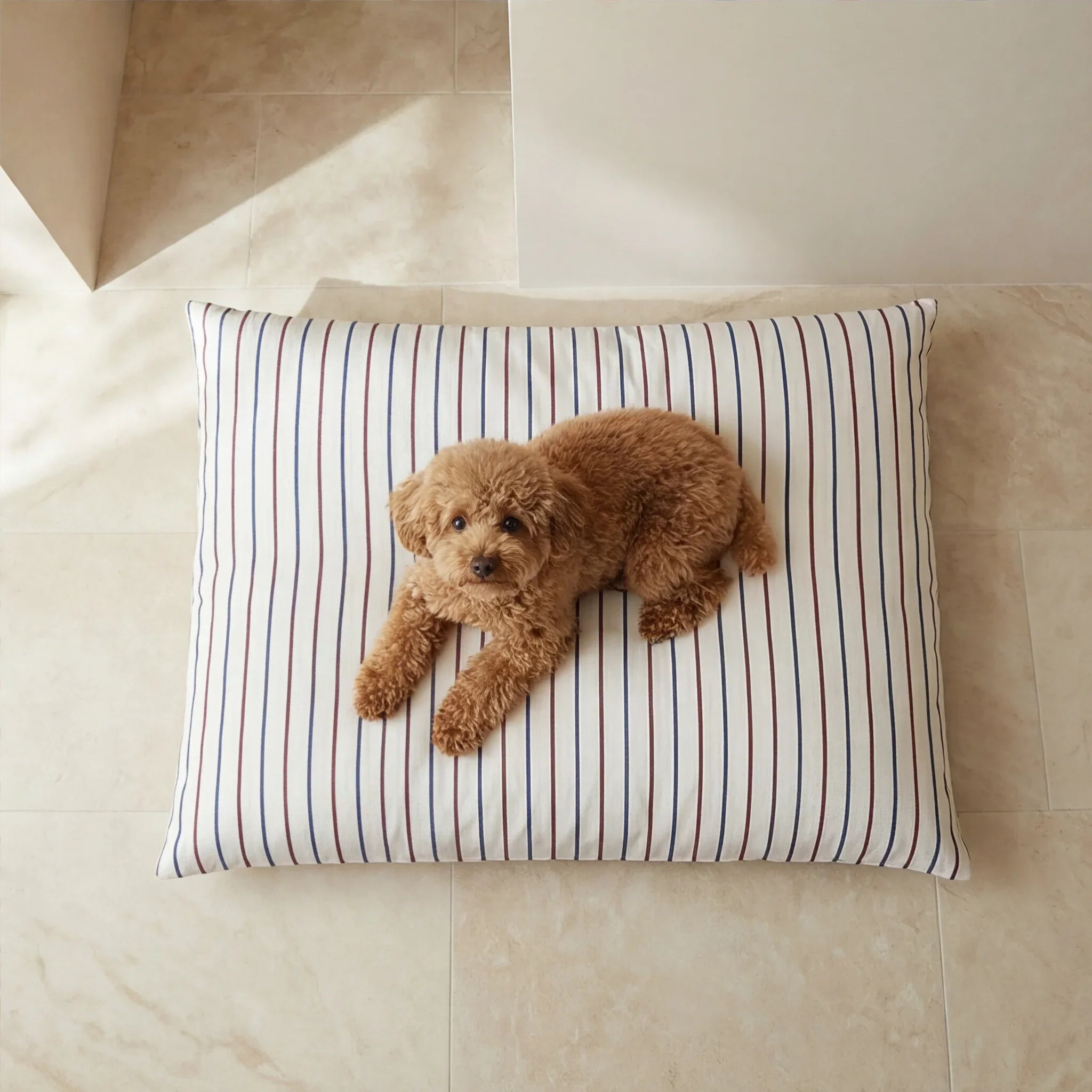 Cama para mascotas desenfundable antimanchas Ximo