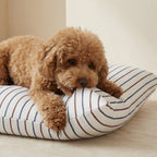Cama para mascotas desenfundable antimanchas Ximo