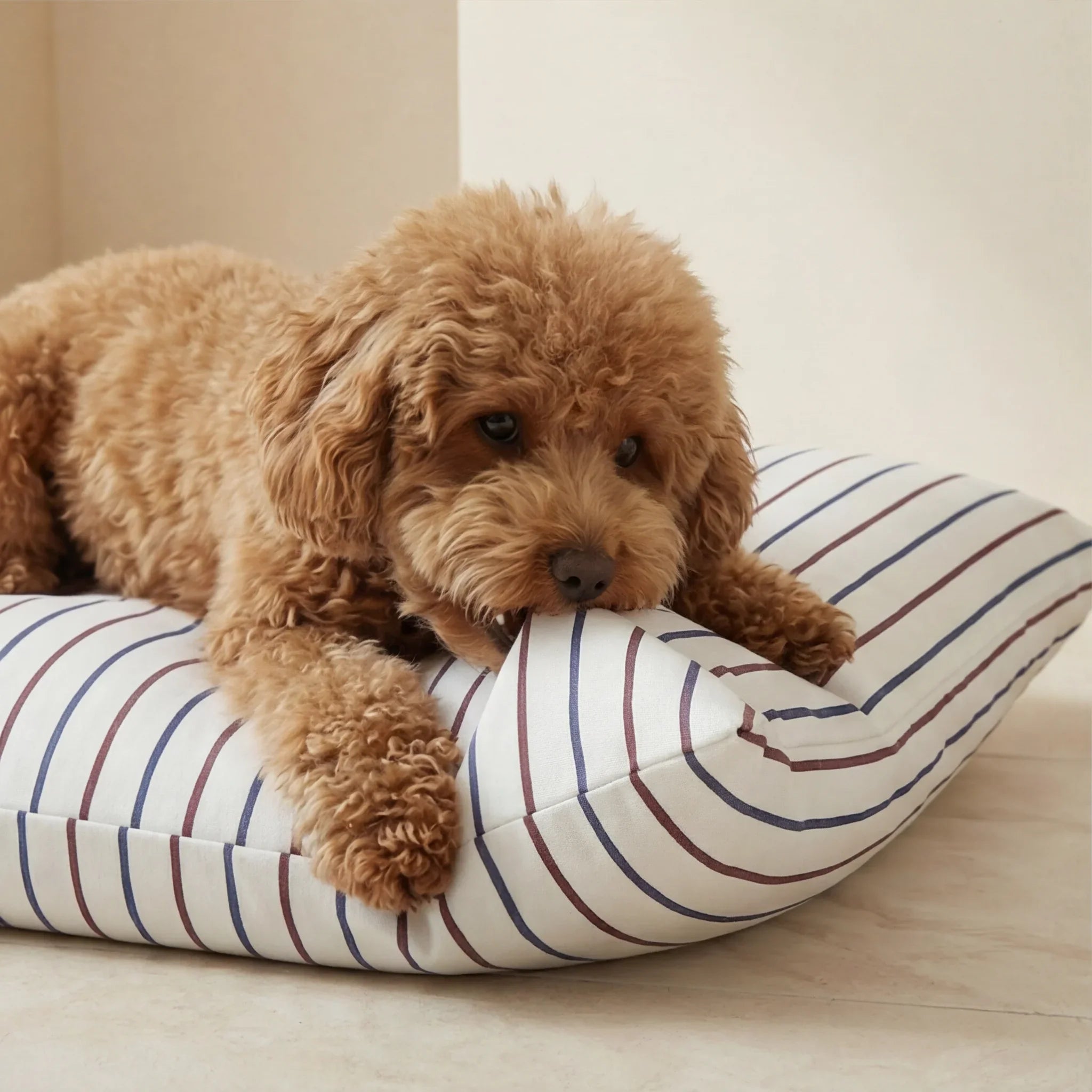 Cama para mascotas desenfundable antimanchas Ximo