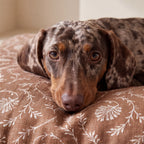 Funda para cama de mascota antimanchas Niva