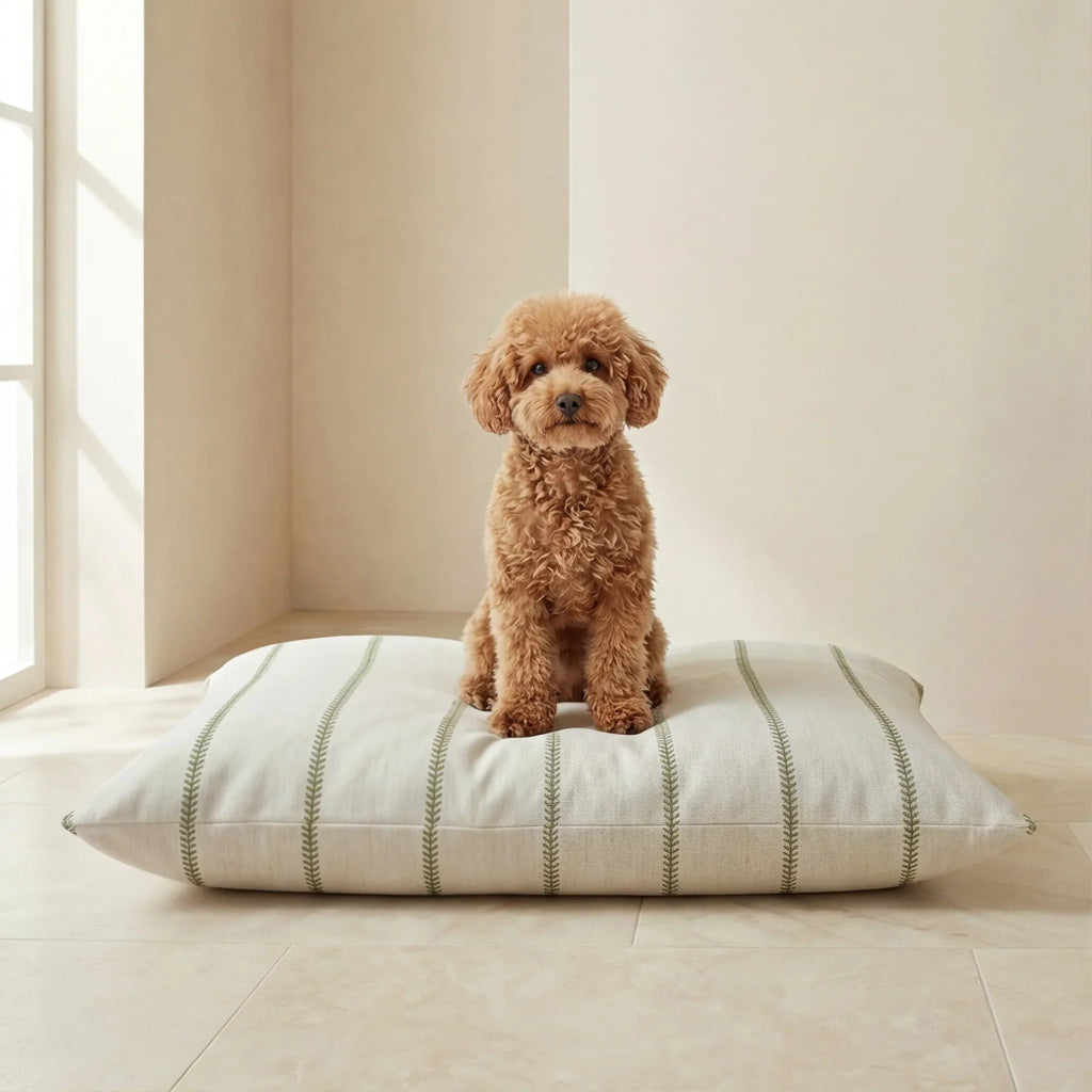 Cama para mascotas desenfundable antimanchas Ian Green