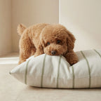 Funda para cama de mascota antimanchas Ian Green