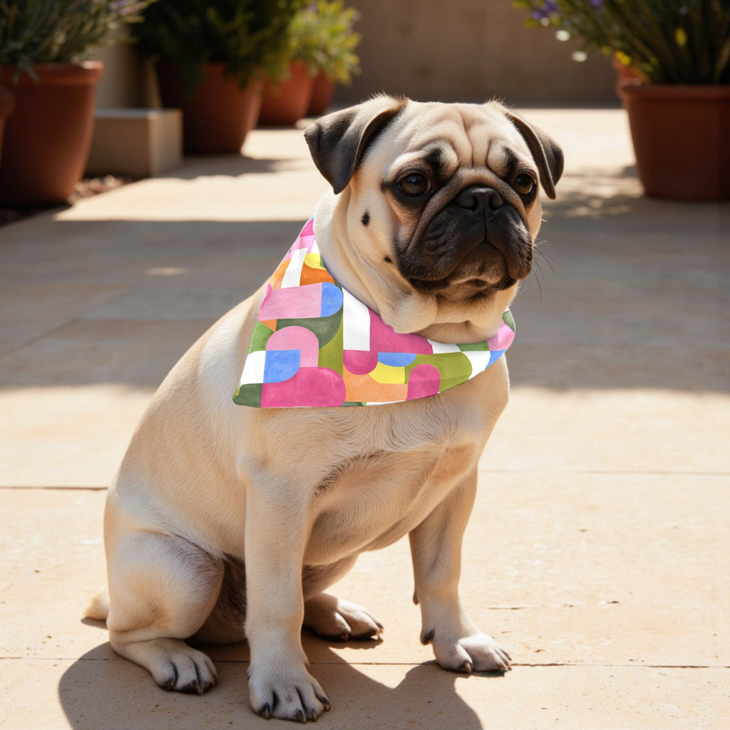 Pack 2 unidades bandana para mascotas Dundee