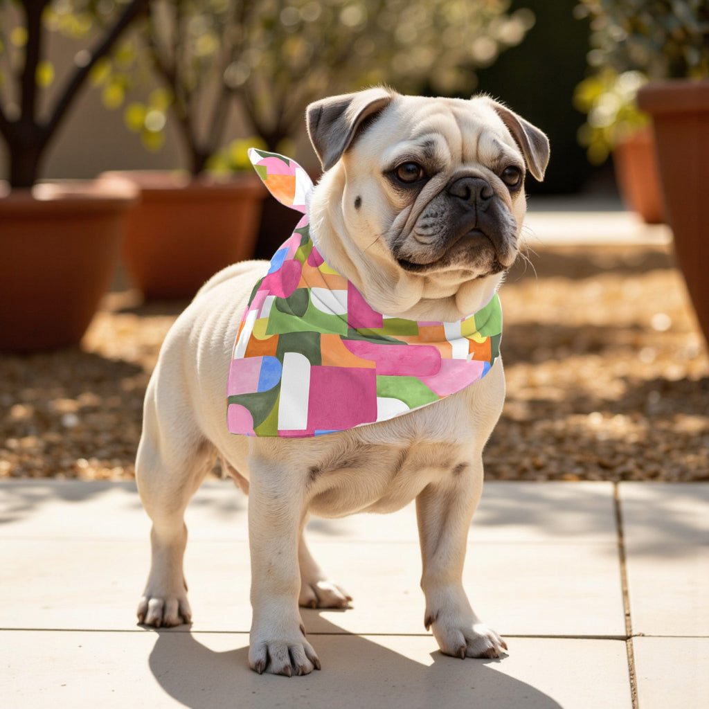 Pack 2 unidades bandana para mascotas Dundee