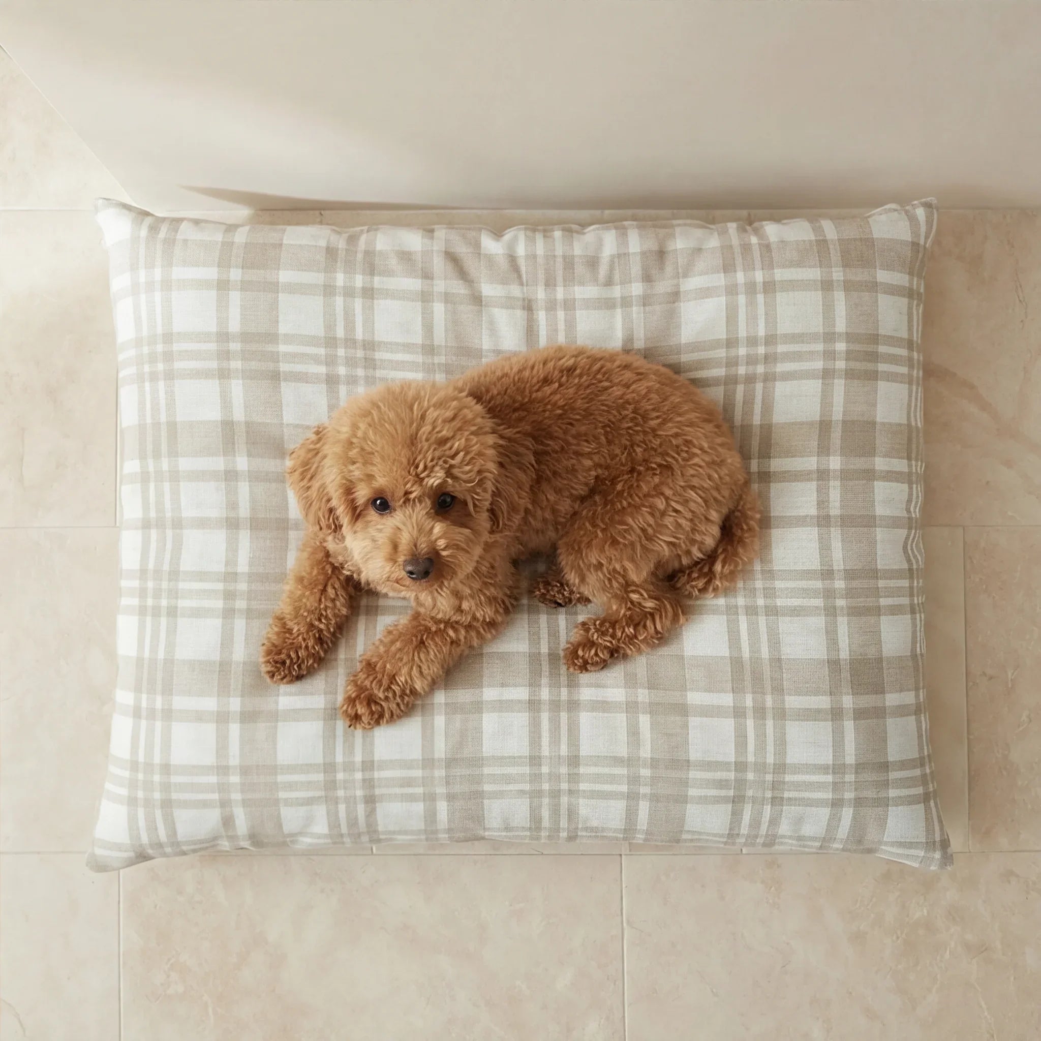 Funda para cama de mascota antimanchas Jara Beige