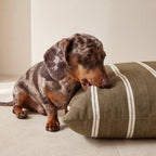 Funda para cama de mascota antimanchas Muna