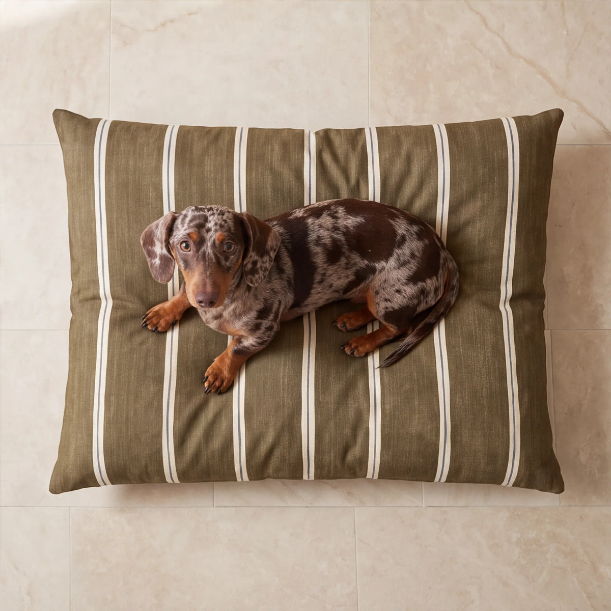 Funda para cama de mascota antimanchas Muna