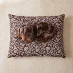 Cama para mascotas desenfundable antimanchas Edera
