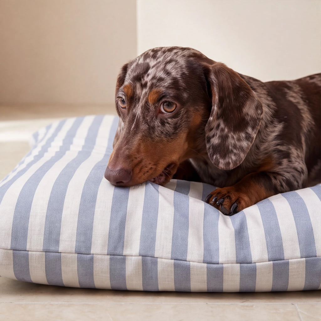 Cama para mascotas desenfundable antimanchas Seleni Marino