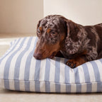 Cama para mascotas desenfundable antimanchas Seleni Marino
