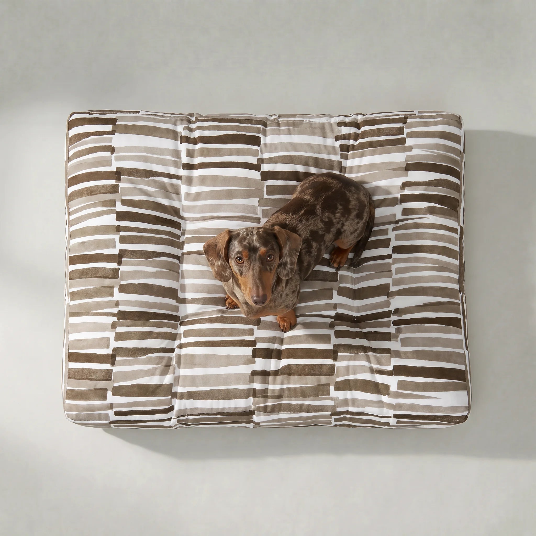 Cama para mascota gruesa y acolchada con acabado antimanchas Xaló C