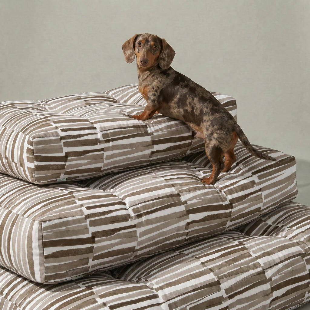 Cama para mascota gruesa y acolchada con acabado antimanchas Xaló C