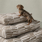 Cama para mascota gruesa y acolchada con acabado antimanchas Xaló C