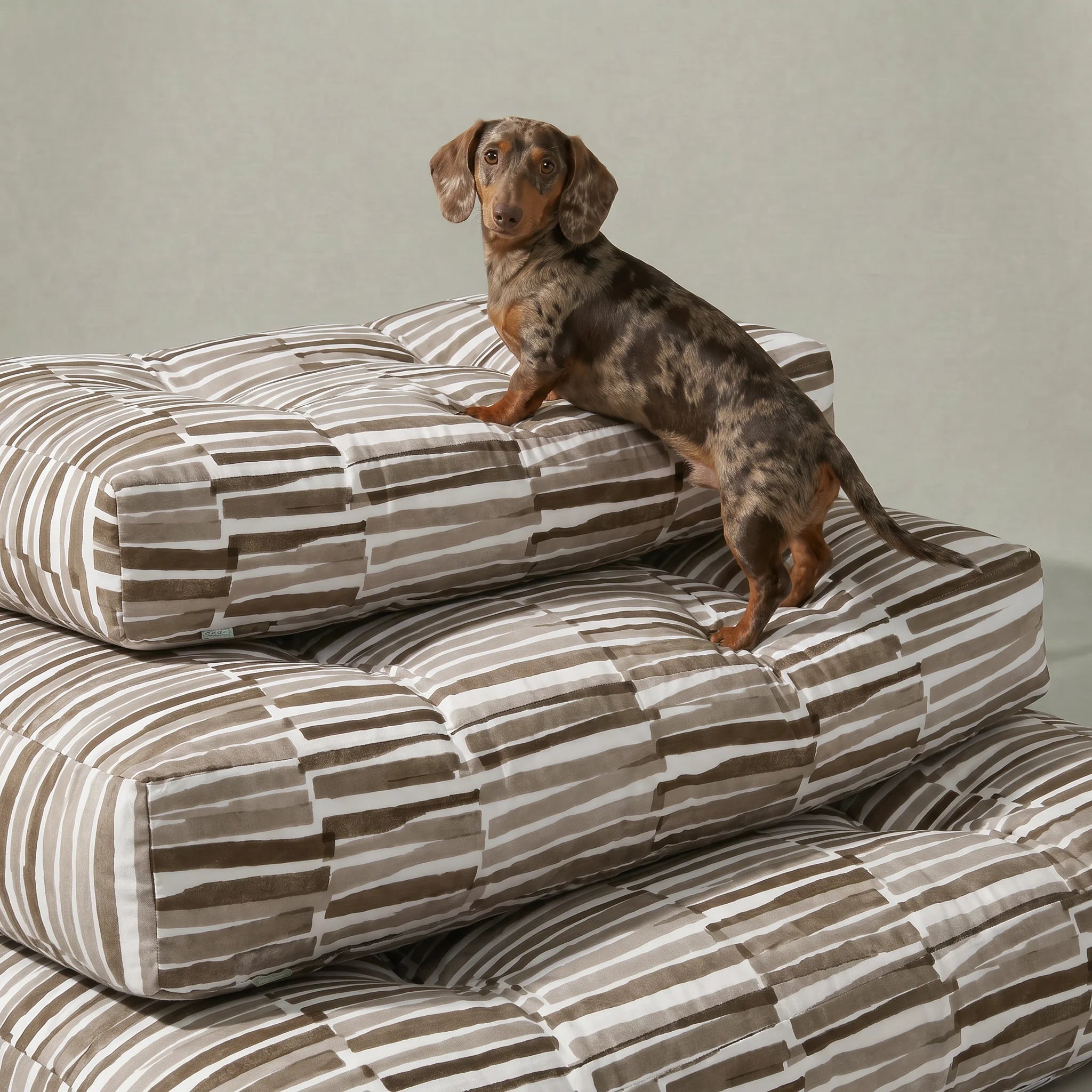 Cama para mascota gruesa y acolchada con acabado antimanchas Xaló C