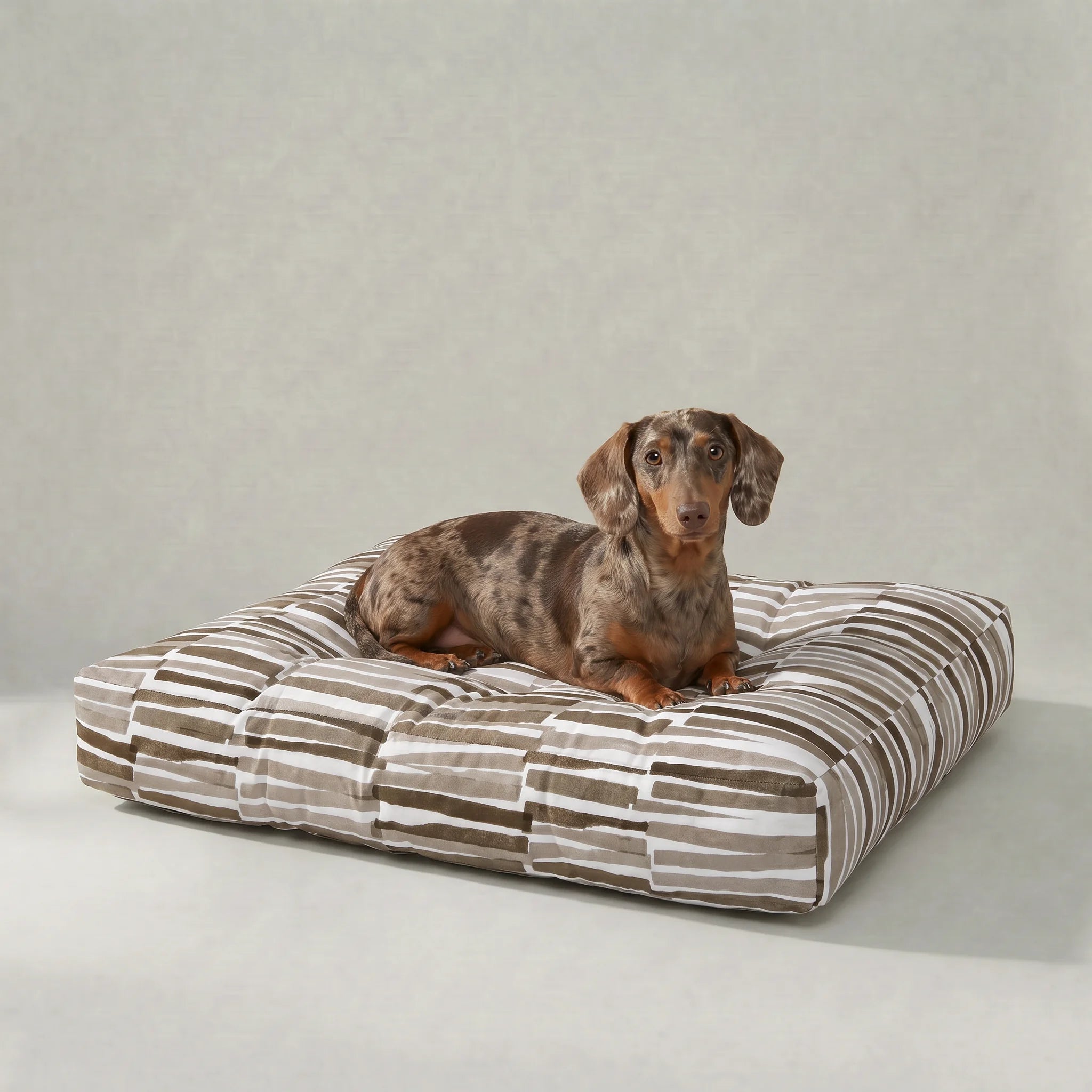 Cama para mascota gruesa y acolchada con acabado antimanchas Xaló C