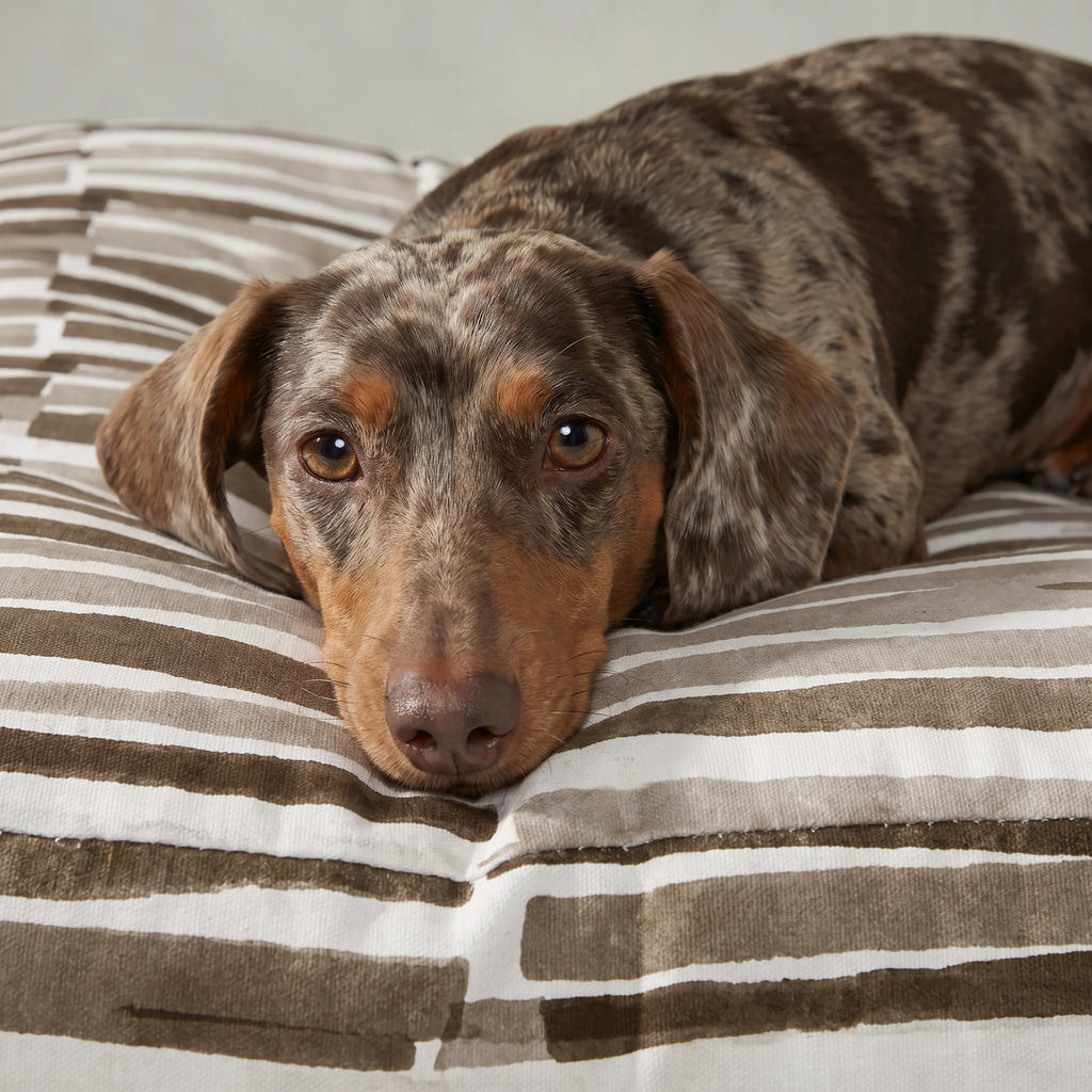 Cama para mascota gruesa y acolchada con acabado antimanchas Xaló C