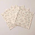 Mantel individual antimanchas pack 4 unidades Elora